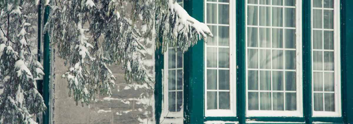 Snow-covered pine branches hang beside a large green window with white frames, evoking a serene winter atmosphere.