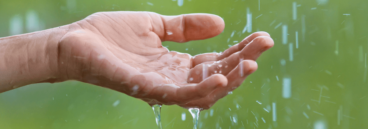 A hand reaches out to catch falling rain against a blurred green background, conveying a sense of serenity and connection with nature.