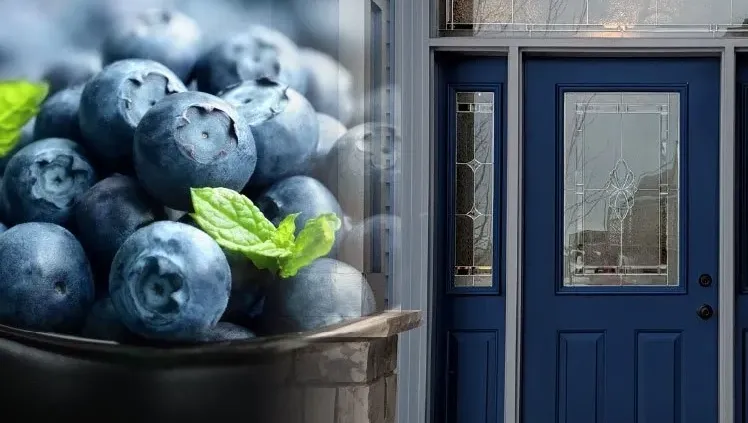A collage features close-up blueberries with a mint leaf, merging into a blue front door with glass panels. The tone is fresh and inviting.