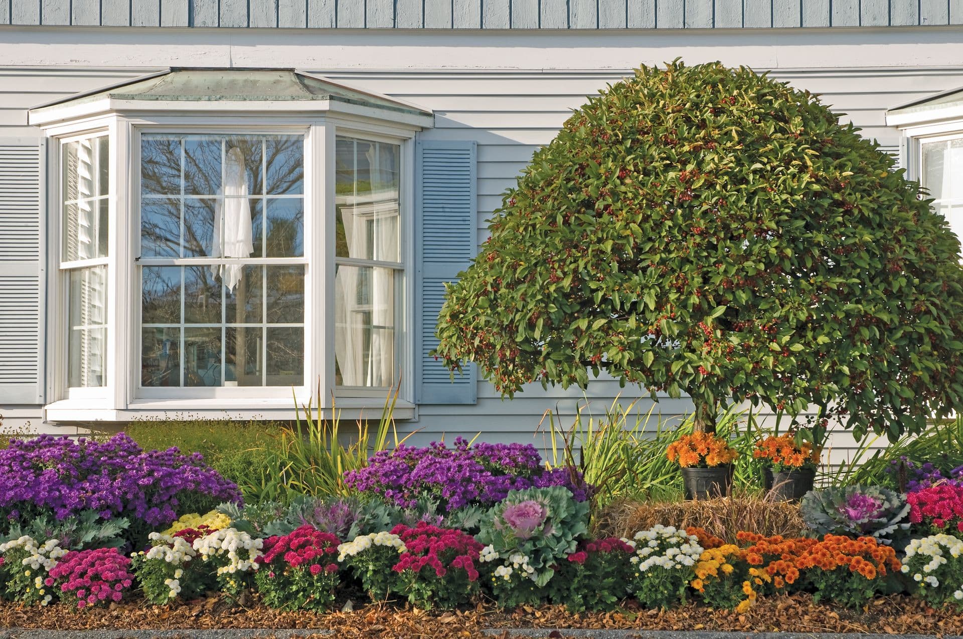 A quaint white house exterior features a large bay window with blue shutters. In the foreground, vibrant flowers and a manicured shrub create a cheerful garden.