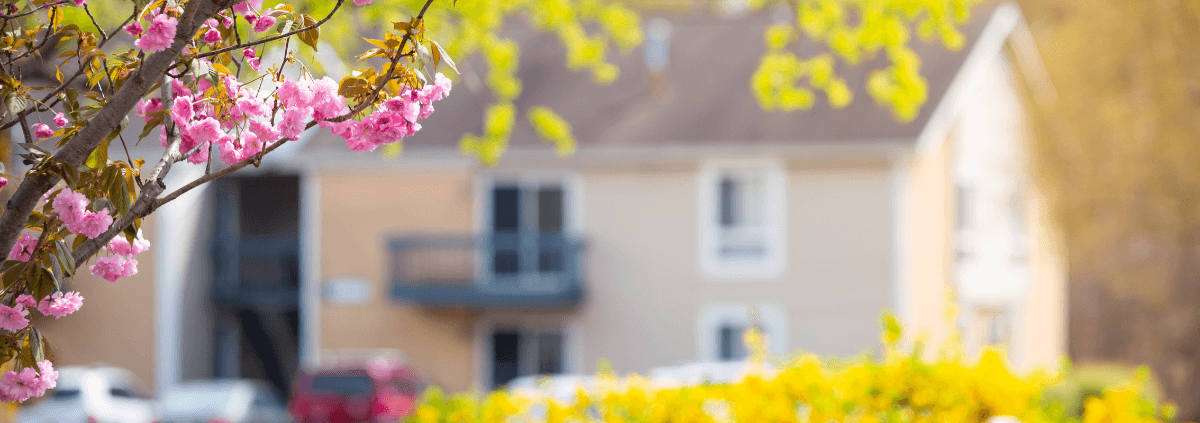 Close-up of pink cherry blossoms against a blurred background of a suburban house and trees. The scene conveys a serene, springtime atmosphere.